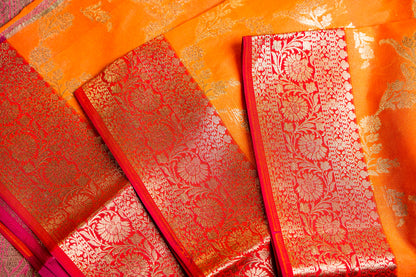 Banarasi Saree with Meenakari jaal work