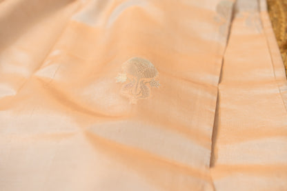 Raw Mango Silk