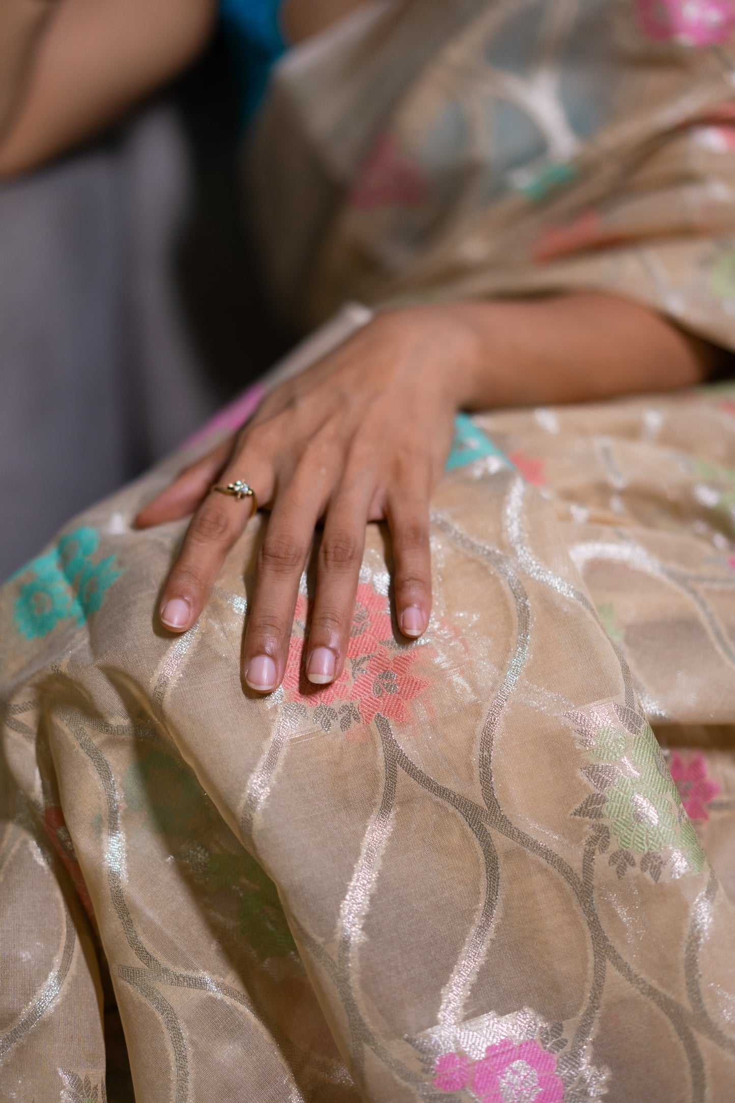 Organza with Jaal work