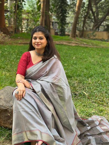 Zari Skirt Border with plain body